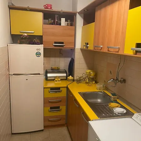 Apartment Sindjelicev Trg *
